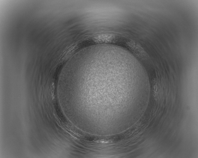 X0000058780498200510071612