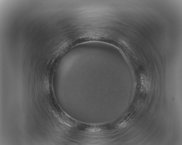 X0000058780500200510071612