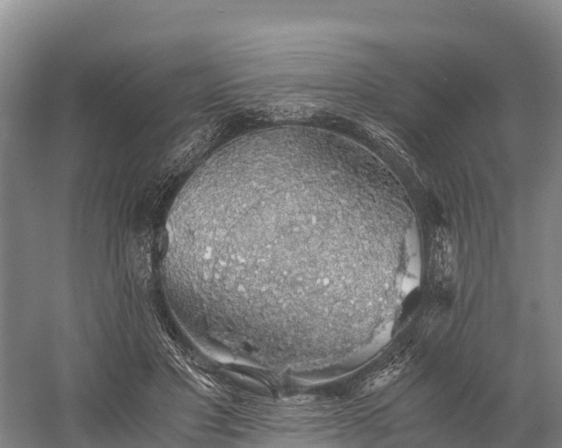 X0000058780501200510071612