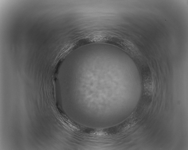 X0000058780503200510071612