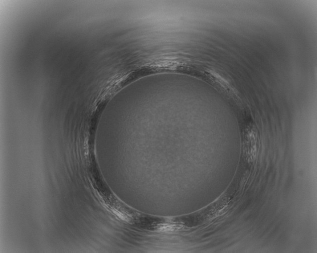 X0000058780504200510071612