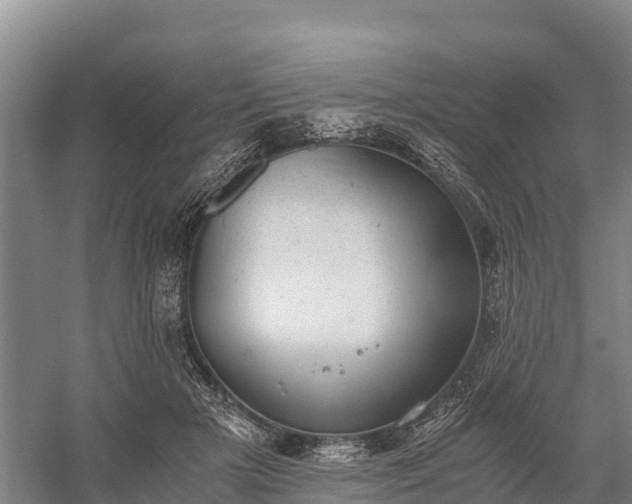 X0000058780505200510071612