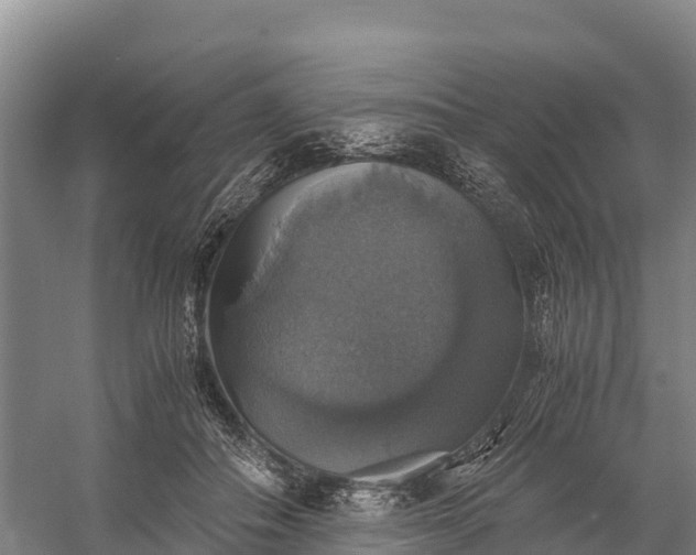 X0000058780506200510071612