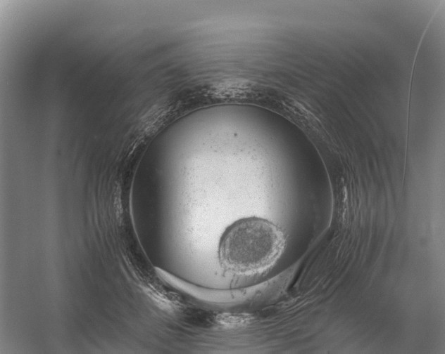 X0000058780508200510071612