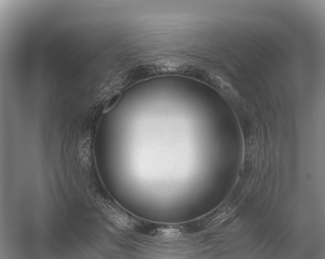 X0000058780509200510071612