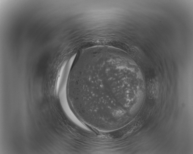 X0000058780511200510071612