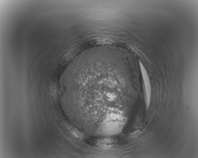 X0000058780513200510071612