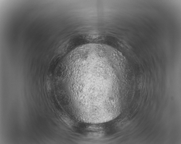 X0000058780515200510071612