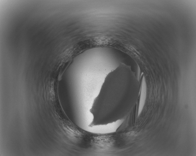 X0000058780516200510071612