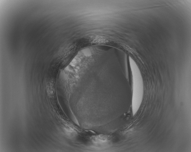 X0000058780517200510071612