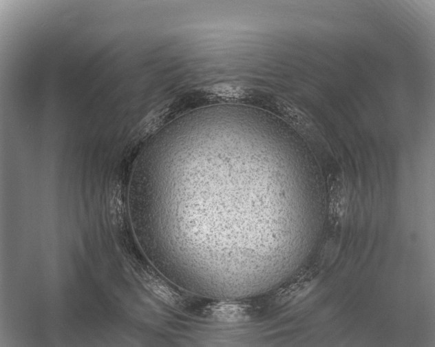 X0000058780518200510071612