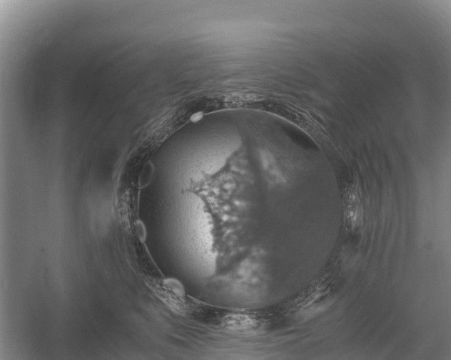 X0000058780519200510071612