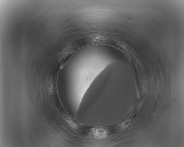 X0000058780520200510071612