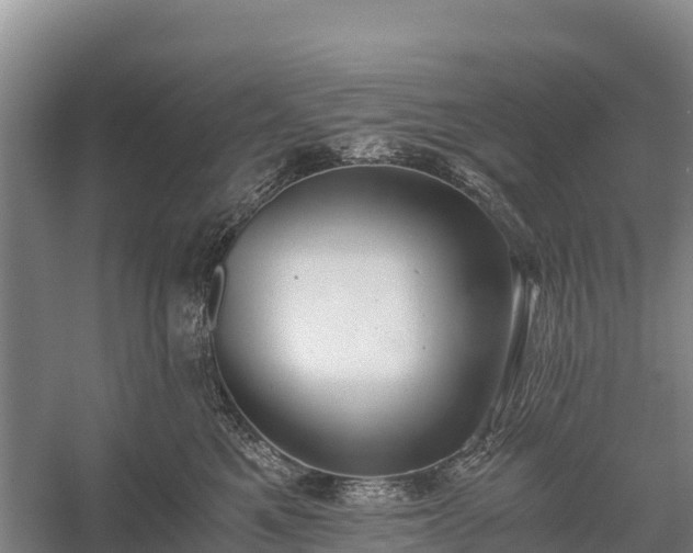 X0000058780521200510071612