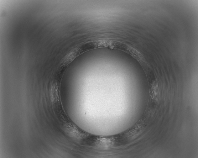 X0000058780522200510071612