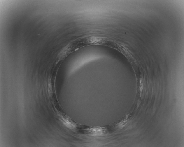 X0000058780524200510071612