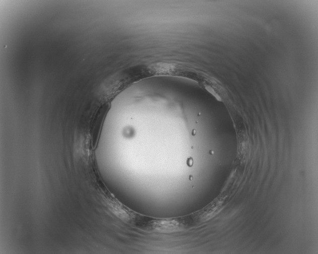 X0000058780525200510071612