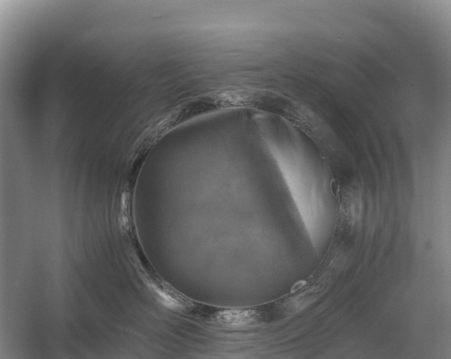 X0000058780526200510071612