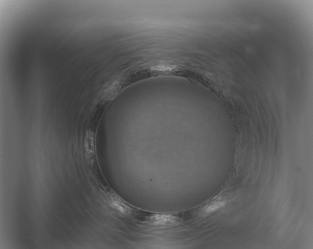 X0000058780528200510071612