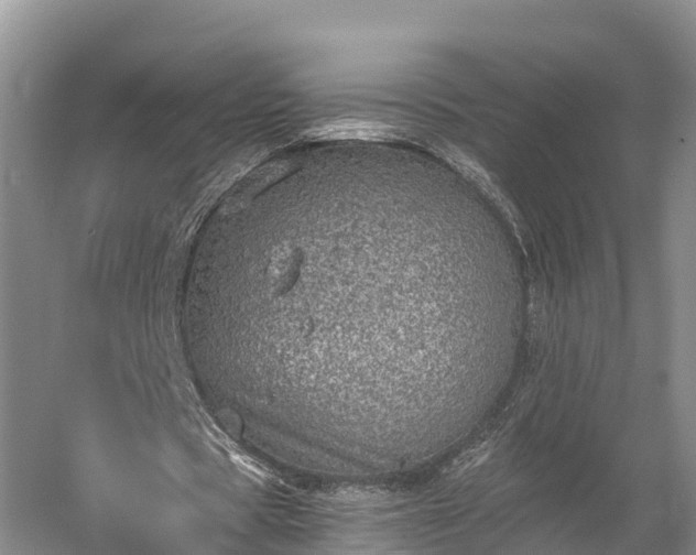 X0000058780529200510071611