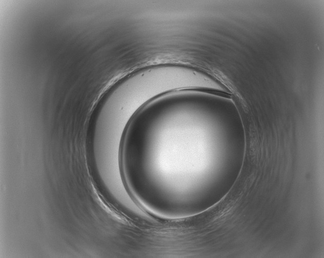 X0000058780530200510071611