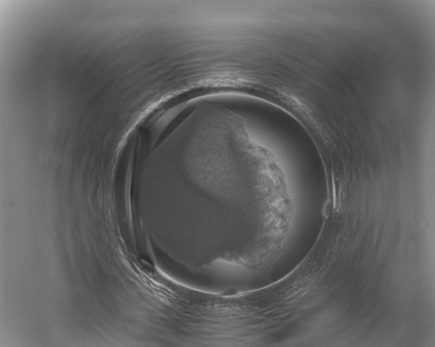 X0000058780531200510071611