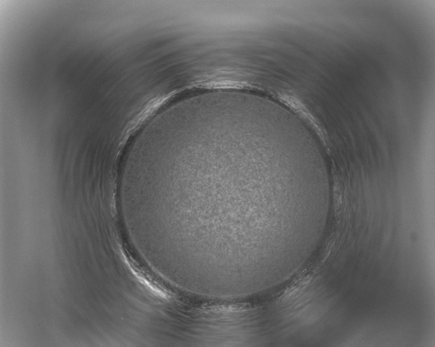 X0000058780533200510071611