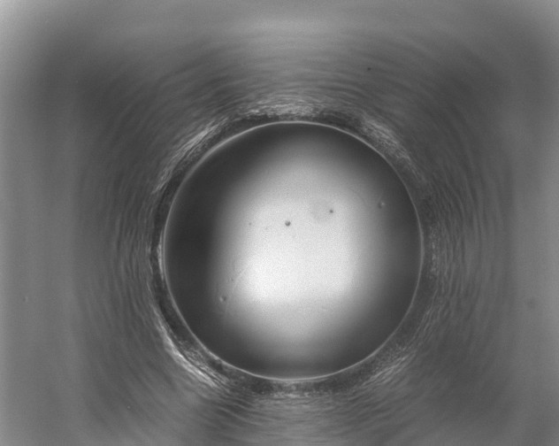 X0000058780538200510071611