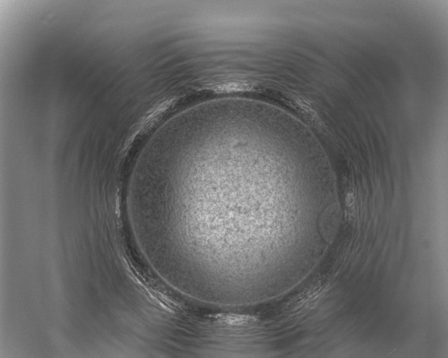 X0000058780539200510071611