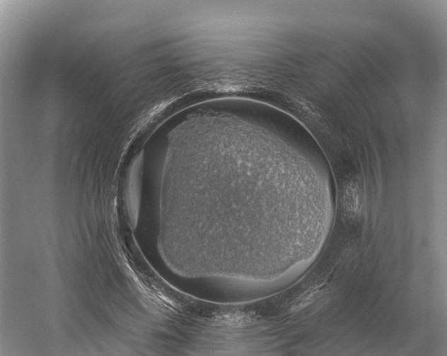 X0000058780540200510071611