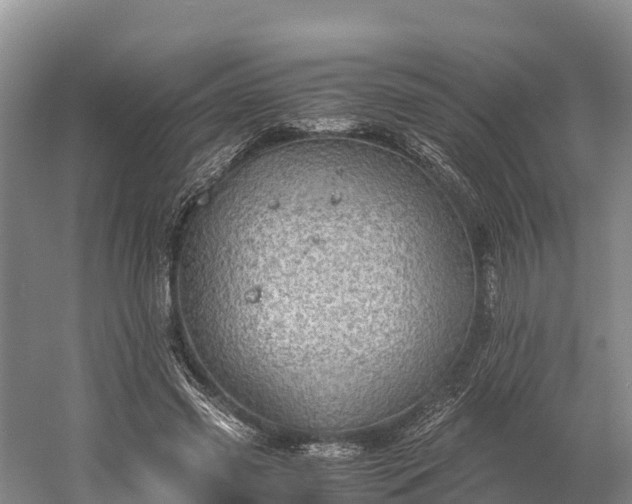 X0000058780541200510071611