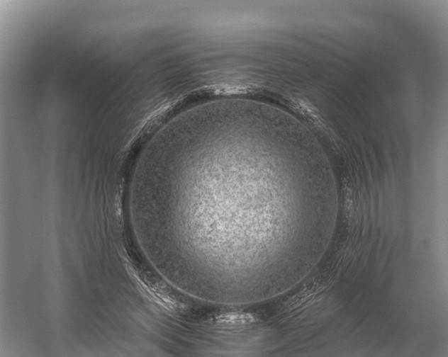 X0000058780543200510071611