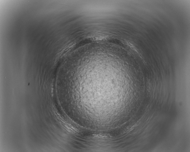 X0000058780545200510071611