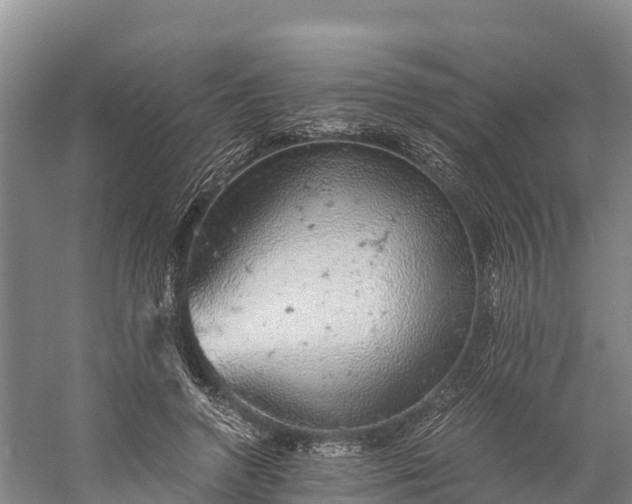 X0000058780546200510071611