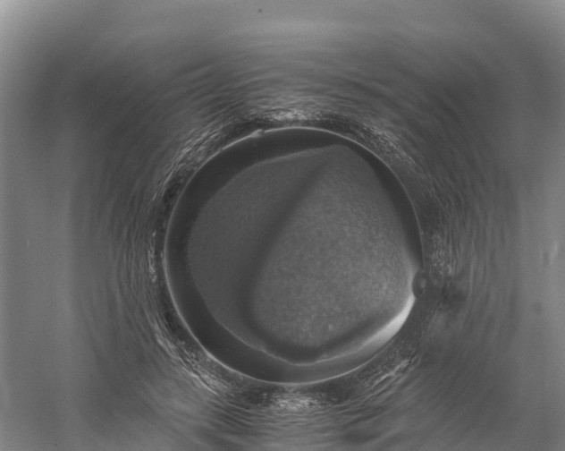 X0000058780547200510071611