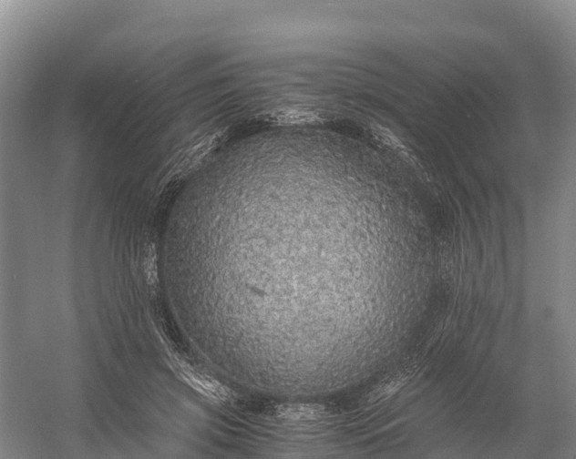 X0000058780549200510071611