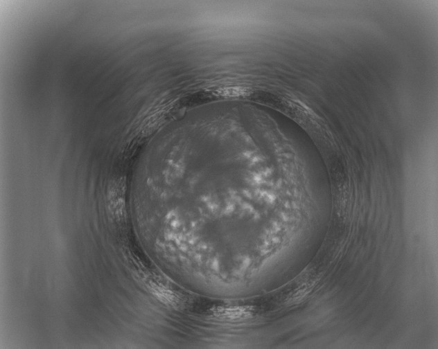 X0000058780553200510071611