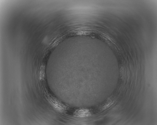 X0000058780554200510071611