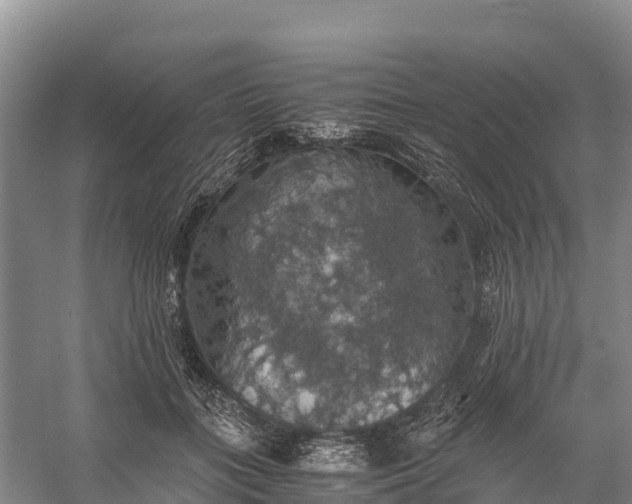 X0000058780555200510071611