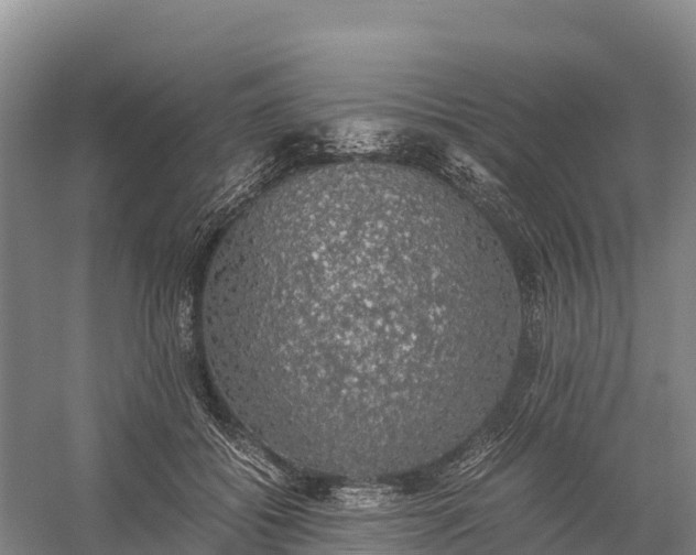 X0000058780556200510071611