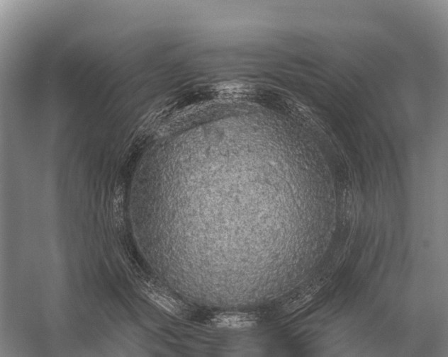 X0000058780557200510071611