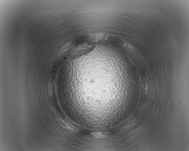 X0000058780558200510071612