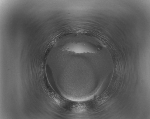 X0000058780559200510071612