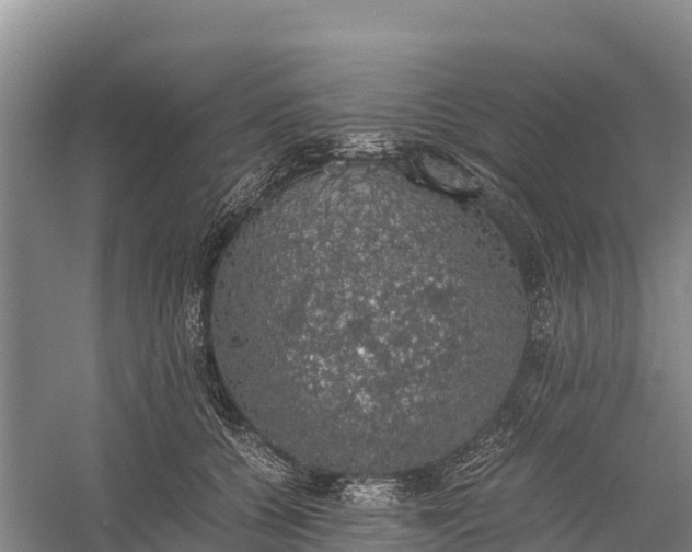 X0000058780560200510071612