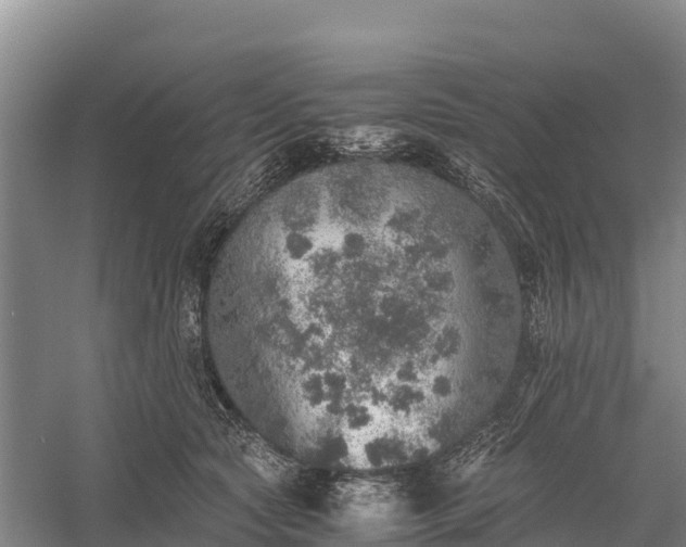 X0000058780561200510071612