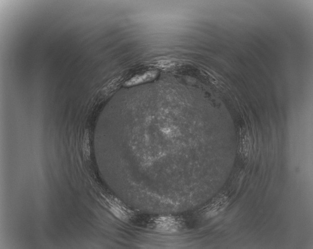 X0000058780562200510071612