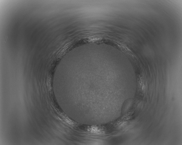 X0000058780565200510071612