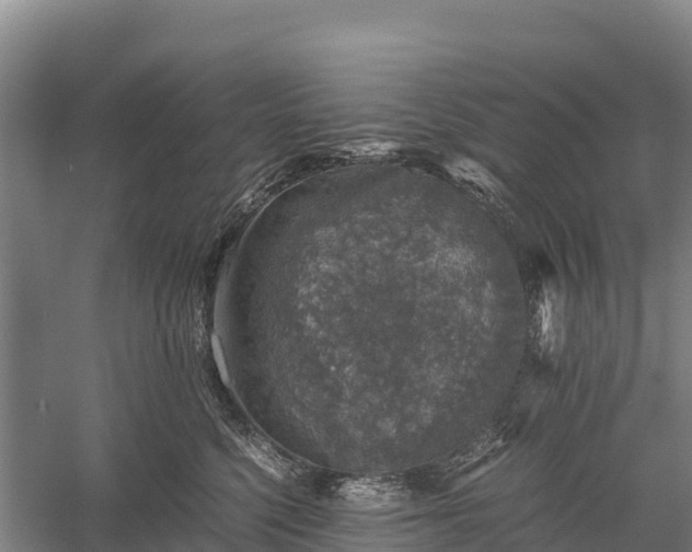 X0000058780568200510071612