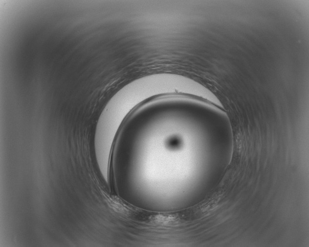 X0000058780570200510071612