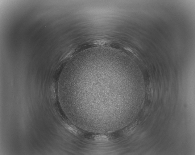 X0000058780572200510071612